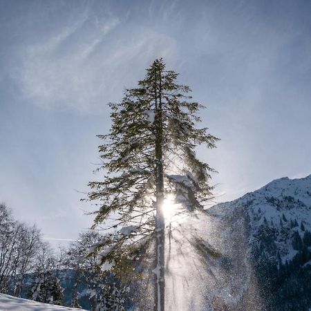 Silber Lodge Im Wiesenstein Ауфах Екстериор снимка
