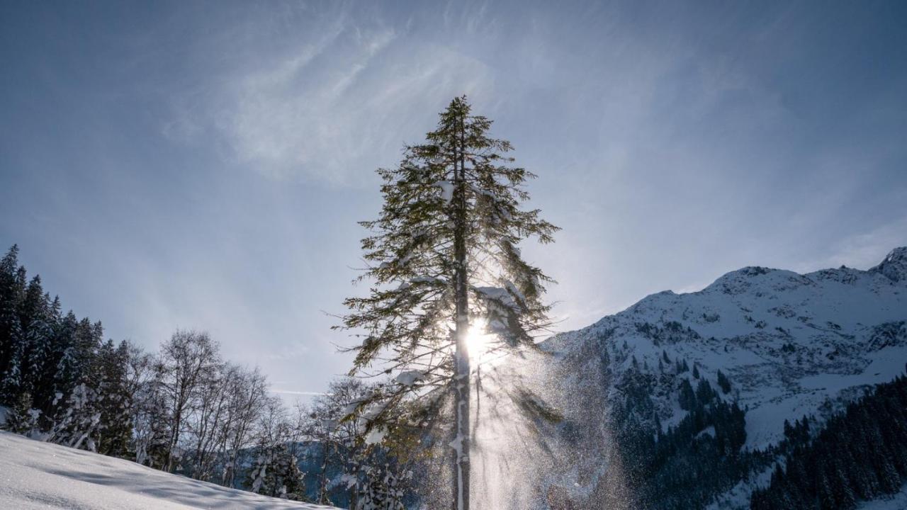 Silber Lodge Im Wiesenstein Ауфах Екстериор снимка