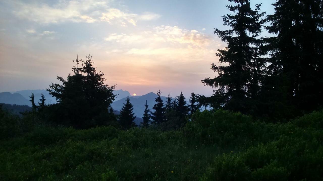 Silber Lodge Im Wiesenstein Ауфах Екстериор снимка